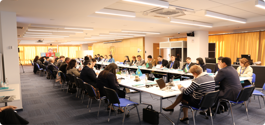 First Regional Consultation Meeting