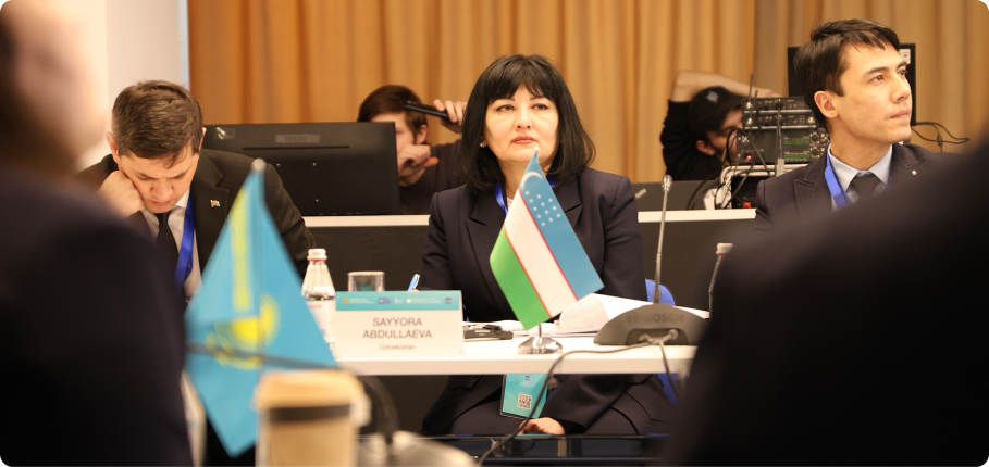 First Regional Consultation Meeting